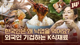 외국인들 사이에서 유명한 한국에 가야 먹을 수 있는 음식🥄ㅣ돈슐랭 / 14F