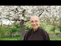 Introduction to Sitting Meditation and Guided Sitting Meditation by Sr. Tu Nghiem | 2022 01 07