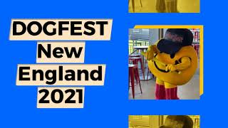 DogFest New England 2021