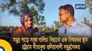 সমুদ্র পাড়ে সবুজ গালিচা বিছানো এক বিস্ময়কর স্থান চট্রগ্রাম সীতাকুন্ড গুলিয়াখালী সমুদ্রসৈকত