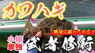 【カワハギ釣り】2022年2回目、絶対カワハギ釣ってやる！と単独釣行に挑んだ釣りガール？小嫁！果たしてその釣果は如何に！そして今後に繋げる経験を得られたのか？初めての吉野屋に乗船！