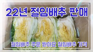 절임배추 판매 합니다   절임배추가격  010-9562-3080  문자로 주세요