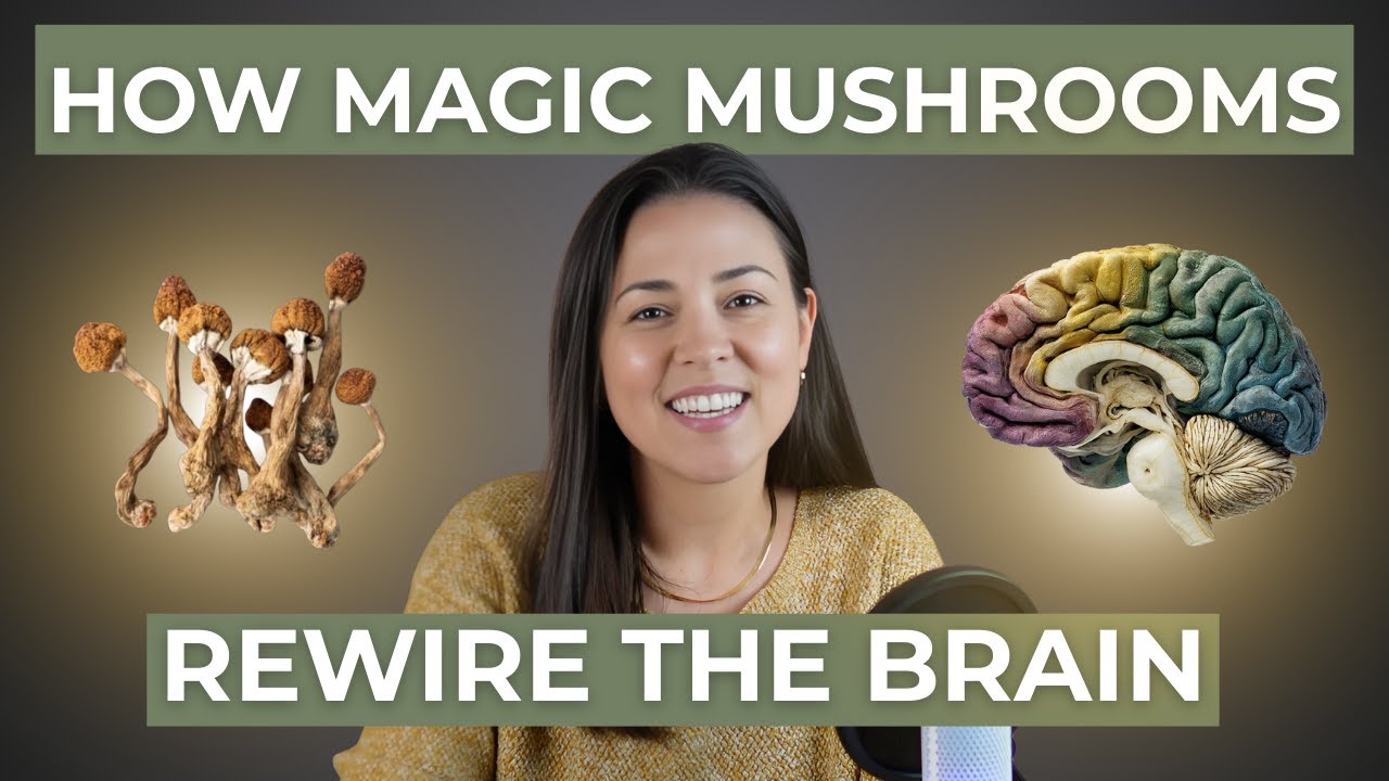 Doctor Explains Psilocybin Therapy Youtube