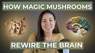 Doctor Explains Psilocybin Therapy