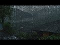 雨と雷の音 睡眠のためのリラックスした雨 8時間