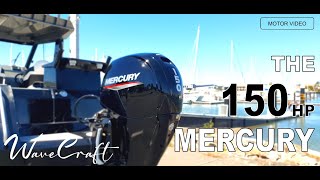 Motor Video - The 150hp Mercury