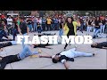 Download THE DANCE MAFIA | FLASH MOB 2017 | CHANDIGARH SEC 17 | Ripanpreet sidhu In Mp4 3Gp Full HD Video