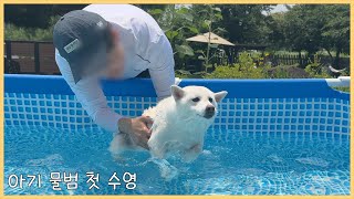 깊은 물에 빠뜨리는 척! 강아지 속였더니ㅋㅋ