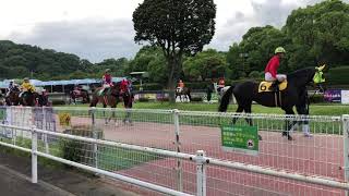 高知競馬場のパドック ②