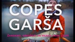 Copes Garša #3 - Zandarti uz Drop-Shot un Mencu aknu Lāsts