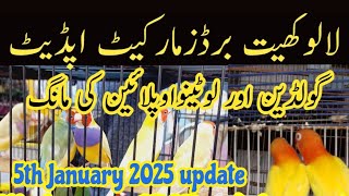 Sunday lalukhet birds market update/5th January 2025 update/لالوکھیت برڈزمارکیٹ