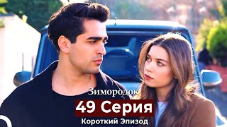 Зимородок 49 Cерия (Короткий Эпизод) (Русский дубляж)