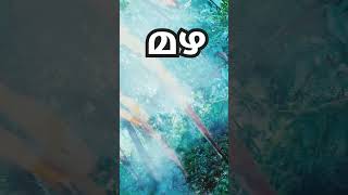 ആസ്വദിക്കാൻ കഴിയുമെങ്കിൽ. നമ്മൾ നിൽക്കുന്ന ഏതു ഇടവും. സുന്ദരം ആണ് 🌱#nature # #kerala #youtubeshorts