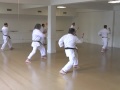 sensei fusaro teaches advanced class at mka