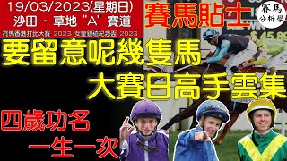 【賽馬貼士提供】2023/03/19 沙田 大賽要留意呢幾隻馬! 四歲功名一生一次!大賽日高手雲集! #賽馬貼士 #賽馬 #香港打吡大賽 #女皇銀禧紀念盃