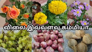 Pallavaram Market Shopping Haul- Bought Rose Plant / பல்லாவரம் சந்தைல விலை இவளோ கம்மியா??