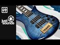 Just Sounds: Spector Euro LT 5 String Bass with Darkglass Electronics Preamp