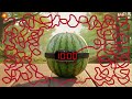 10 Minute Timer Bomb | ULTIMATE Watermelon EXPLOSION Countdown🍉💣