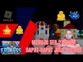 🔴 Udah Mau Sea 2 Fruit Budha Belum Ketemu - Blox Fruit | Roblox Indonesia