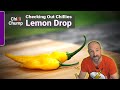 Aji Lemon Drop - Episode 8: Checking out Chillies with ChilliChump