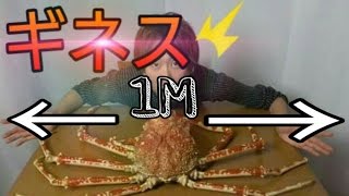 世界一巨大なカニを捌いて豪快に食す！【MonsterCrab】 【タカアシガニ】