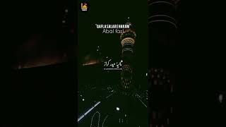 Qafla Salar E Haram Abal Fazl (a) 🙌🏻 | Mesum Abbas | Noha WhatsApp Status