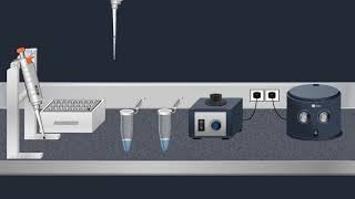 SARS Cov2 -Real Time RT PCR Test Animation video