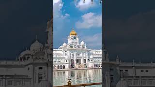 golden temple #punjab #india #indian #youtubeshorts #2023