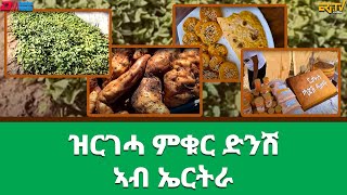 ዝርገሓ ምቁር ድንሽ ኣብ ኤርትራ - ፍረ ጻዕሪ |Fre Tsaeri - Introducing \u0026 producing Sweet Potato in Eritrea - Eri-TV