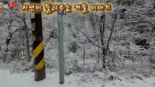 💥자연이 들려주는 겨울 이야기 - Nature’s Winter Tale