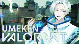 【VALORANT】ヴァロカスタムする