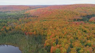 DNR Launches "Fall Colors Finder," predicts a good peaking season ahead