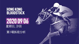 [香港賽馬] 第一場拆局分析2020-09-06