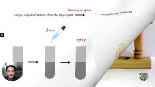 Talk Lab Factor affecting amylase enzyme activity