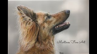 realistic fur with colored pencils on drafting film, drawing a dog again!