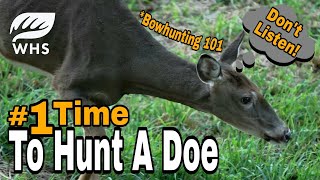 Critical Bowhunting Practice Tip