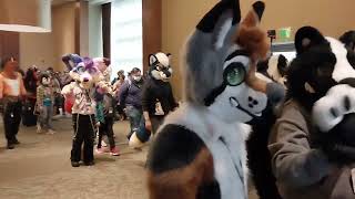 Anthro New England 2025 Fursuit Parade - Part 1