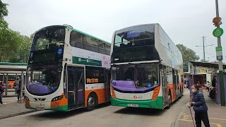 Hong Kong Bus NWFB 5684 @ 970X 新世界第一巴士 Alexander Dennis Enviro500 MMC New Facelift 香港仔 - 長沙灣(甘泉街)