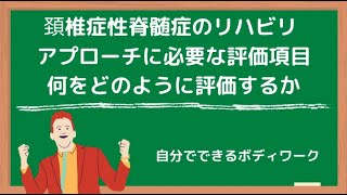 頚椎症性脊髄症のリハビリテーション-アプローチに必要な評価項目-