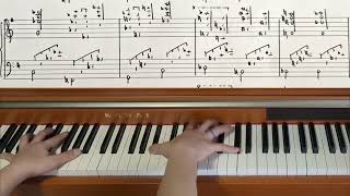 Piano Piece for World's Biggest Hands No.839  Winter Thunder  - Original Piano Composition