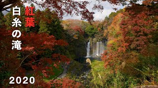 2020 白糸の滝の紅葉(4K) Autumn Colors At Shiraito Fall(UHD)