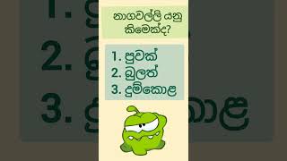 මේක දන්නෙ කීයෙන් කී දෙනාද බලමු #shorts #gksinhala #gk #viralvideos