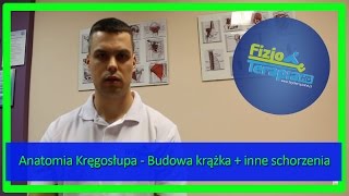 Anatomia Kręgosłupa - Budowa krążka + inne schorzenia #7 FizjoTerapia HD