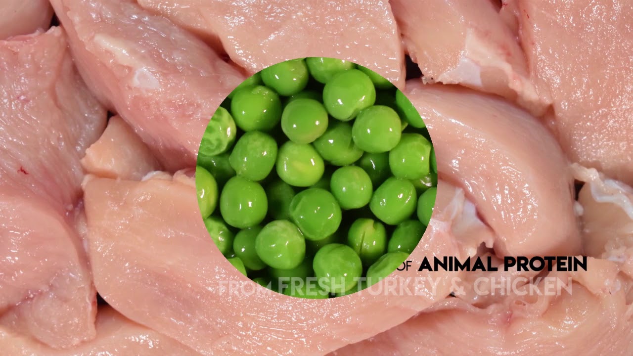 Pureluxe Presentation Youtube