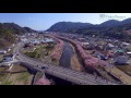 河津桜　空撮　 japanese　cherry blossoms 　dji phantom