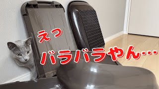 お気に入りのトイレをバラされて不安になったかわいい猫【ロシアンブルー】システムトイレ