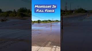Monsoons in Tucson are in full force!