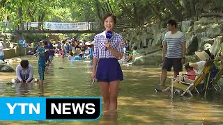 시원한 바람에 물까지...계곡은 천연 냉장고 / YTN (Yes! Top News)