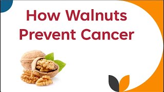 How Walnuts Prevent Cancer