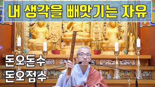 생각을 다 빼앗겨라, 돈오돈수 돈오점수, 어떤 견해도 내세우지 말라